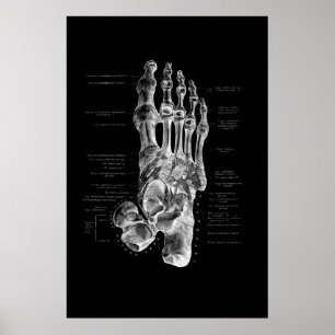 Foot Anatomie Podiatrist Medical Wall Decor Poster