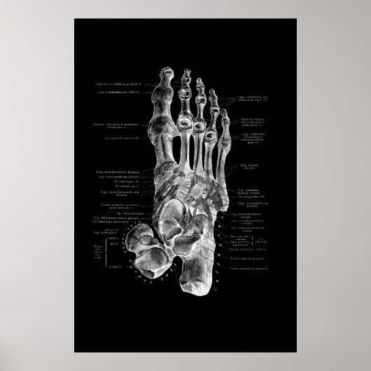 Foot Anatomie Podiatrist Medical Wall Decor Poster (Voorkant)