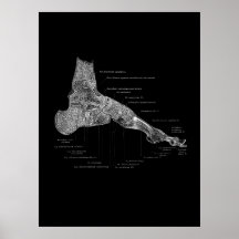 Foot Anatomist Podiatrist Gift Medical Wall Decor