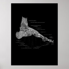 Foot Anatomist Podiatrist Gift Medical Wall Decor Poster