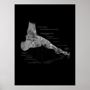 Foot Anatomist Podiatrist Gift Medical Wall Decor Poster