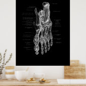 Foot Anatomy Podiatrist Medical Poster (Keuken)