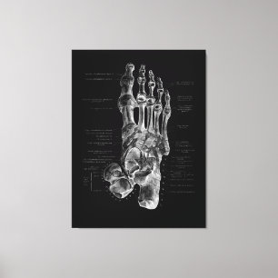 Foot Anatomy Podiatrist Medical Poster Canvas Afdruk