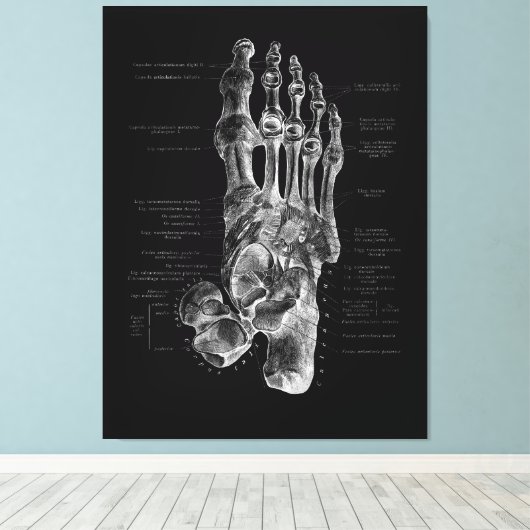 Foot Anatomy Podiatrist Medical Poster Canvas Afdruk (Insitu (Houten vloer))