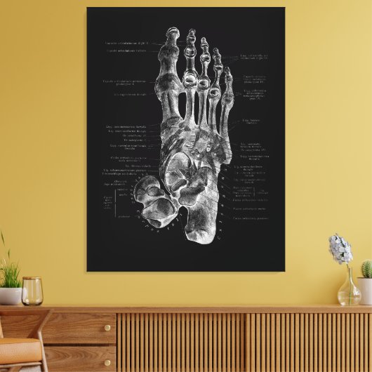 Foot Anatomy Podiatrist Medical Poster Canvas Afdruk (Insitu (Woonkamer))