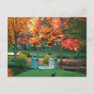 Foot Bridge in Herfst Briefkaart