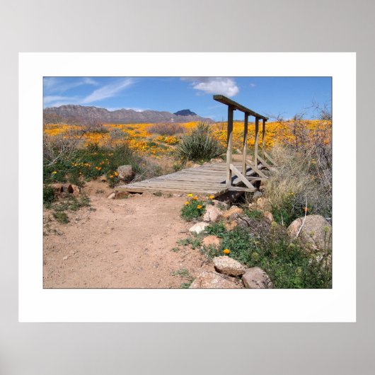 Foot Bridge & Poppies Poster (Voorkant)