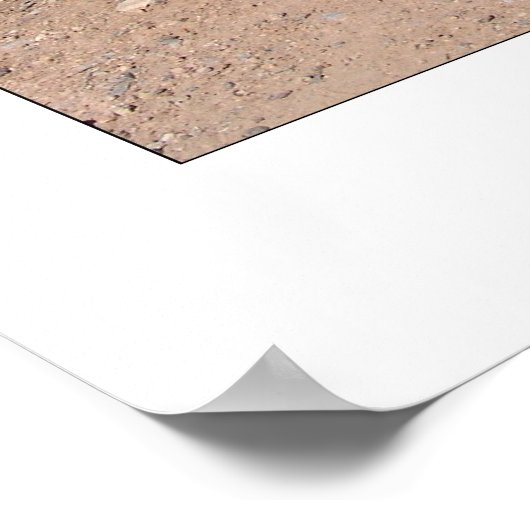 Foot Bridge & Poppies Poster (Hoek)