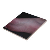 FOOT DOMME TEGELTJE (Zijkant)