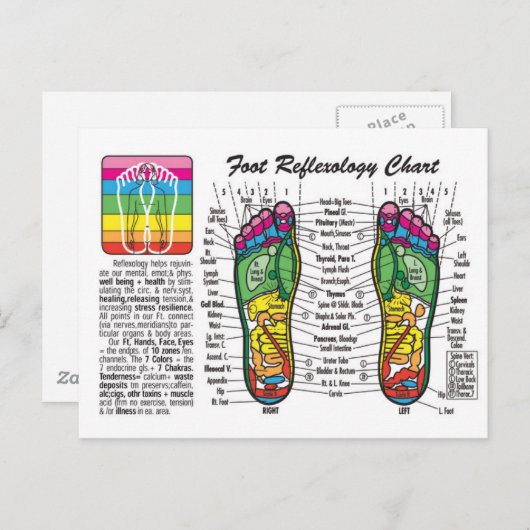 Foot-Massage-Reflexologie Briefkaart (Voorkant / Achterkant)