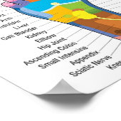 Foot Reflexology 15x9" Poster (Hoek)