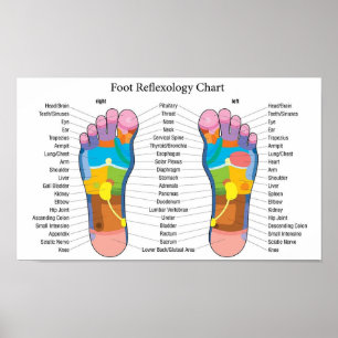 Foot Reflexology 15x9" Poster