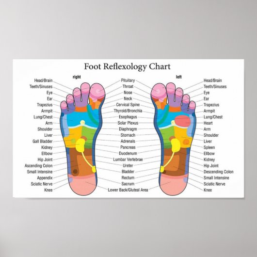 Foot Reflexology 15x9" Poster (Voorkant)