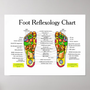 Foot Reflexology -16x12" Poster