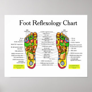 Foot Reflexology -16x12" Poster