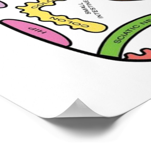 Foot Reflexology 16x20" Poster (Hoek)