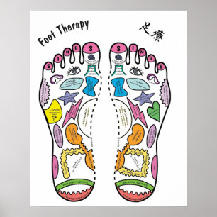 Foot Reflexology 16x20" Poster