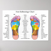 Foot Reflexology 18x12" Poster (Voorkant)