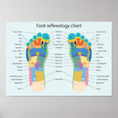 Foot Reflexology 18x13" Poster (Voorkant)