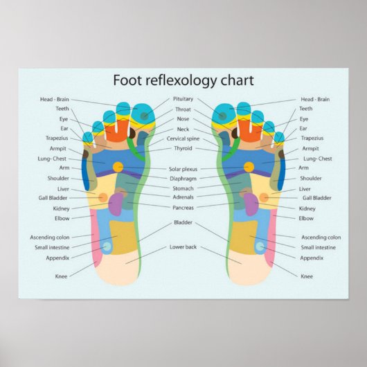 Foot Reflexology 18x13" Poster (Voorkant)