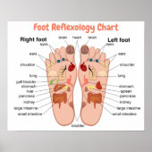 Foot Reflexology 20x16" Poster (Voorkant)