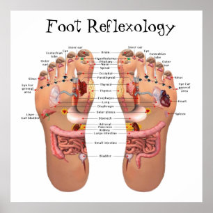 Foot Reflexology 24x24" Poster