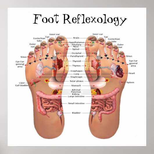 Foot Reflexology 24x24" Poster (Voorkant)