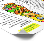 Foot Reflexology Chart 10x7" Poster (Hoek)