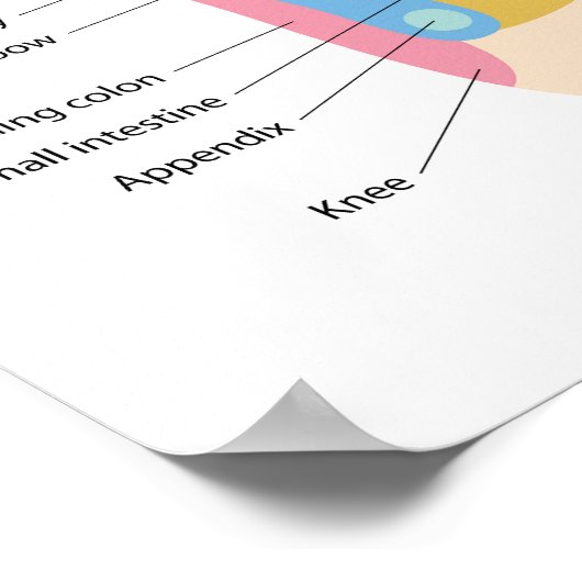 Foot Reflexology Chart 20" x 16", (Matte) Poster (Hoek)