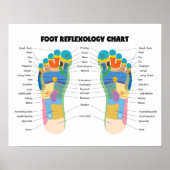 Foot Reflexology Chart 20" x 16", (Matte) Poster (Voorkant)