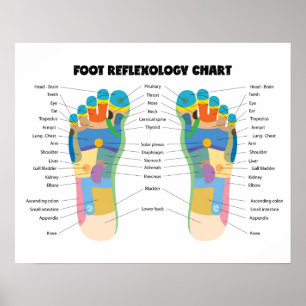 Foot Reflexology Chart 20" x 16", (Matte) Poster
