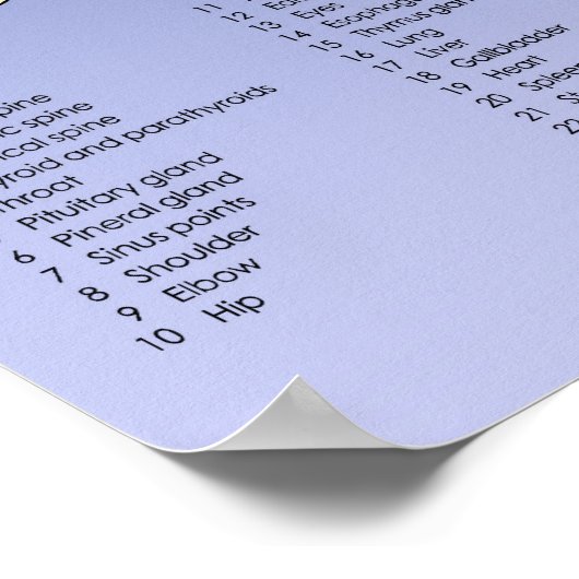 Foot Reflexology Chart - Blue Poster (Hoek)