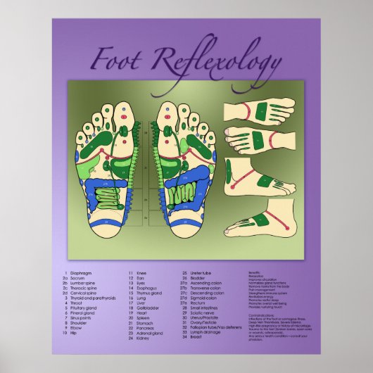 Foot Reflexology-diagram Poster (Voorkant)