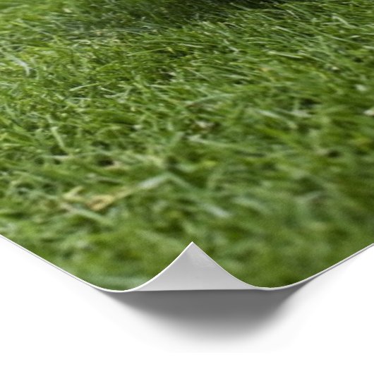 FOOTBALL 2 POSTER (Hoek)