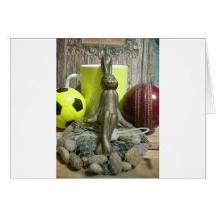 Football Cricket spectator Sport