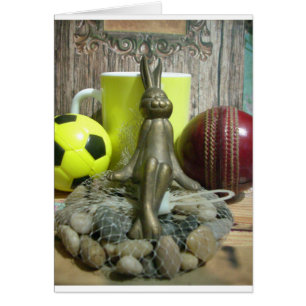 Football Cricket spectator Sport