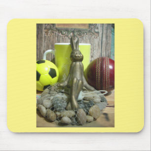 Football Cricket spectator Sport Muismat