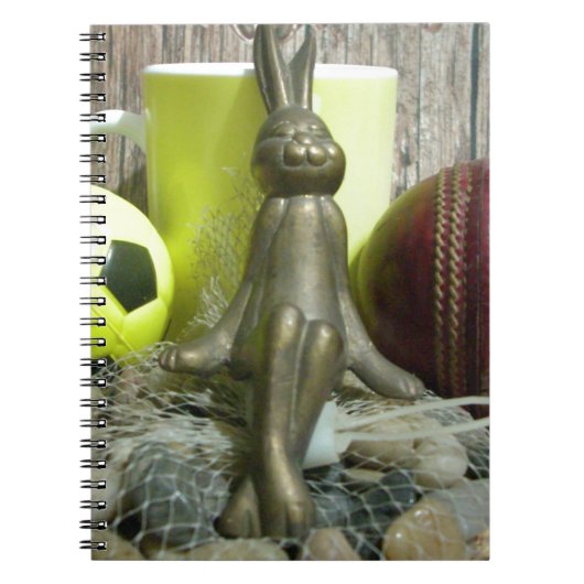 Football Cricket spectator Sport Notitieboek (Voorkant)