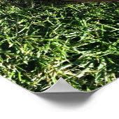 Football on Grass Poster (Hoek)