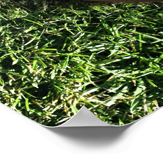 Football on Grass Poster (Hoek)