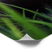 Football Poster (Hoek)