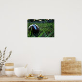 Football Poster (Keuken)