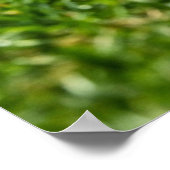 Football Receiver Gloves on Turf Field Poster (Hoek)