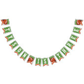 Football Theme Birthday Bunting Flags Vlaggetjes (Alle)