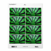 Football van watermeloenen / Voetbal Etiket (Full Sheet)