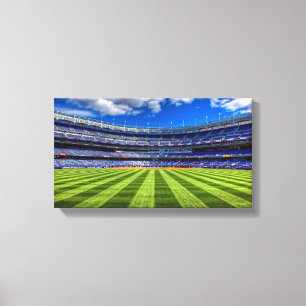 Football veld canvas afdruk
