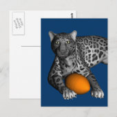 Footballs panter briefkaart (Voorkant / Achterkant)
