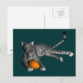 Footballs panter briefkaart (Voorkant / Achterkant)