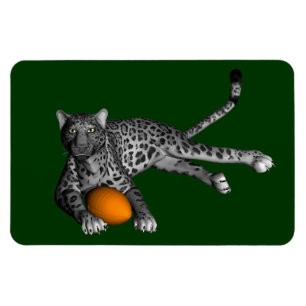 Footballs panter magneet