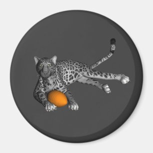 Footballs panter magneet